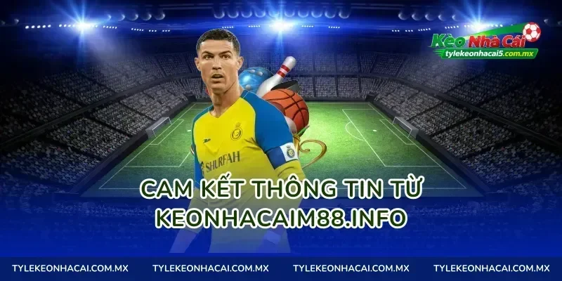 Cam kết thông tin từ tylekeomalaysia.com
