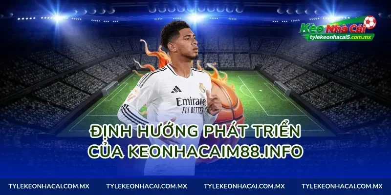 Định hướng phát triển của tylekeomalaysia.com