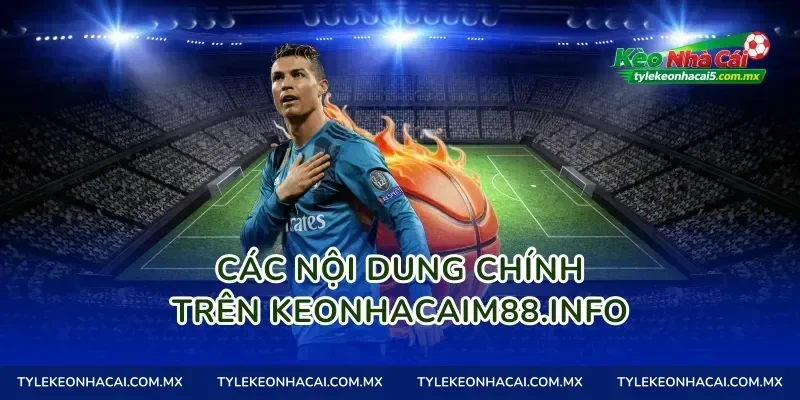 Các nội dung chính trên tylekeomalaysia.com